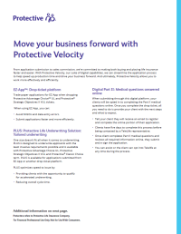 Cover of the Protective Velocity flyer