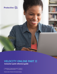 Cover of Velocity Online Part II Consumer Guide.