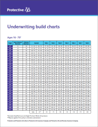 Cover of Underwriting Build Chart Flyer